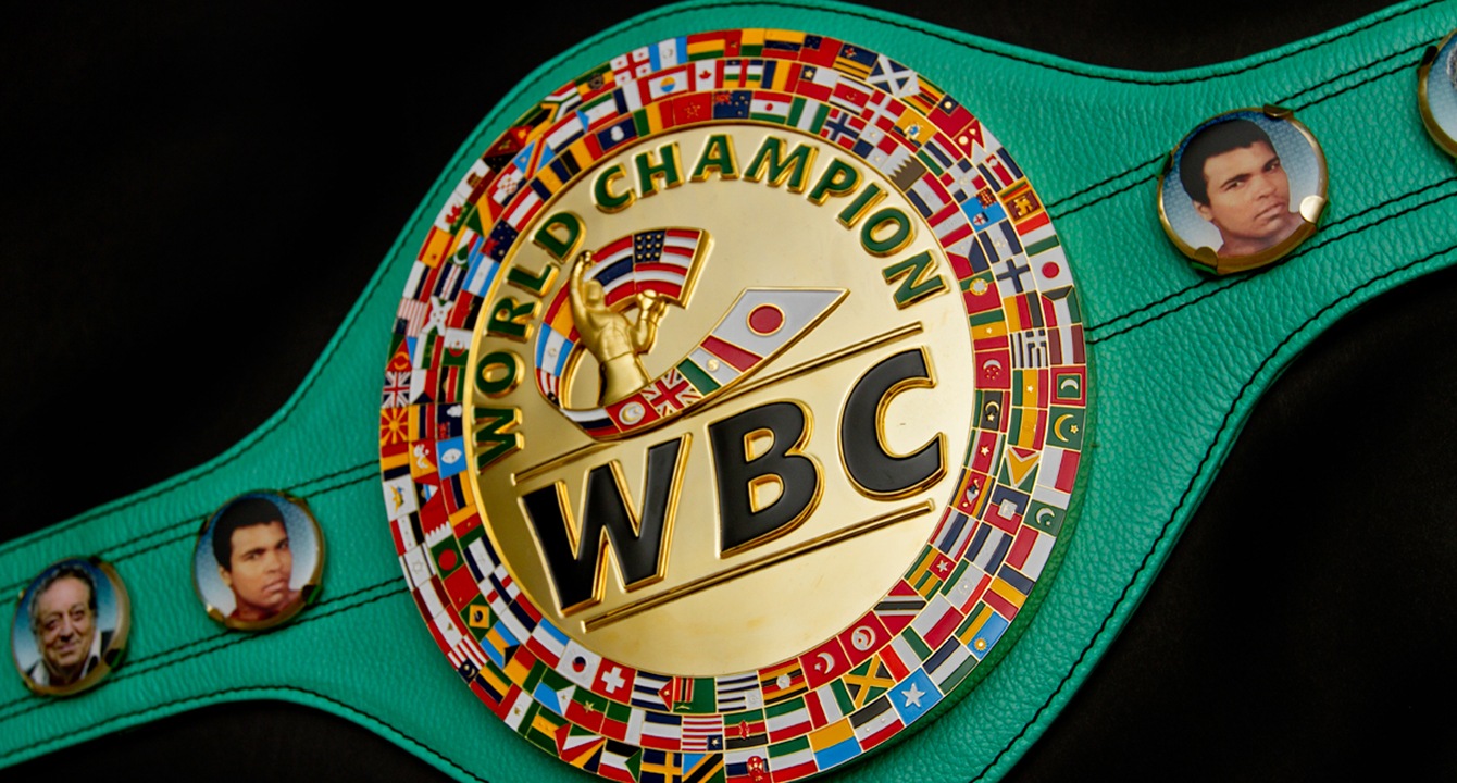 ВСЕМИРНЫЙ БОКСЕРСКИЙ СОВЕТ (WBC) НИКОГДА НЕ БУДЕТ ПОДДЕРЖИВАТЬ ПРОФЕССИОНАЛОВ